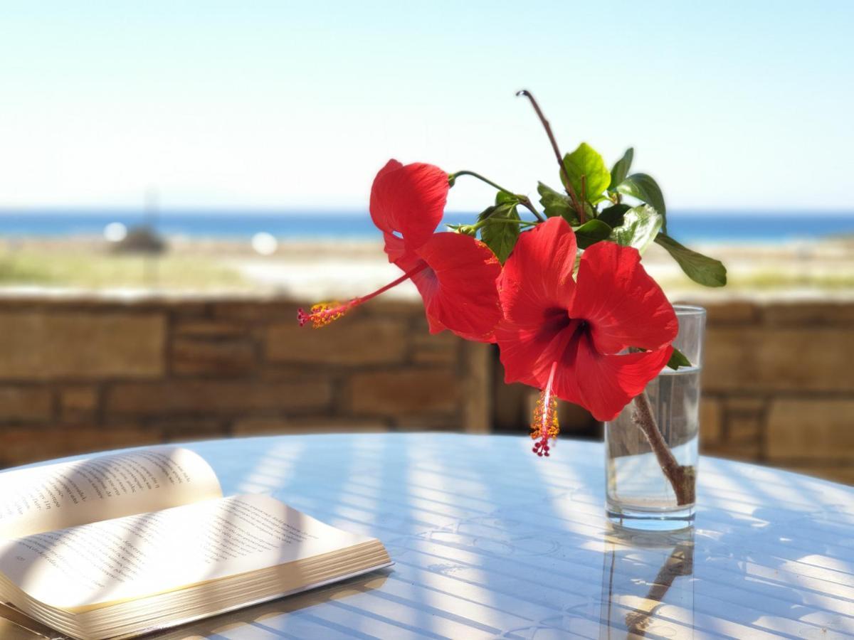 Kyma Apartments - Naxos Agios Prokopios Ngoại thất bức ảnh