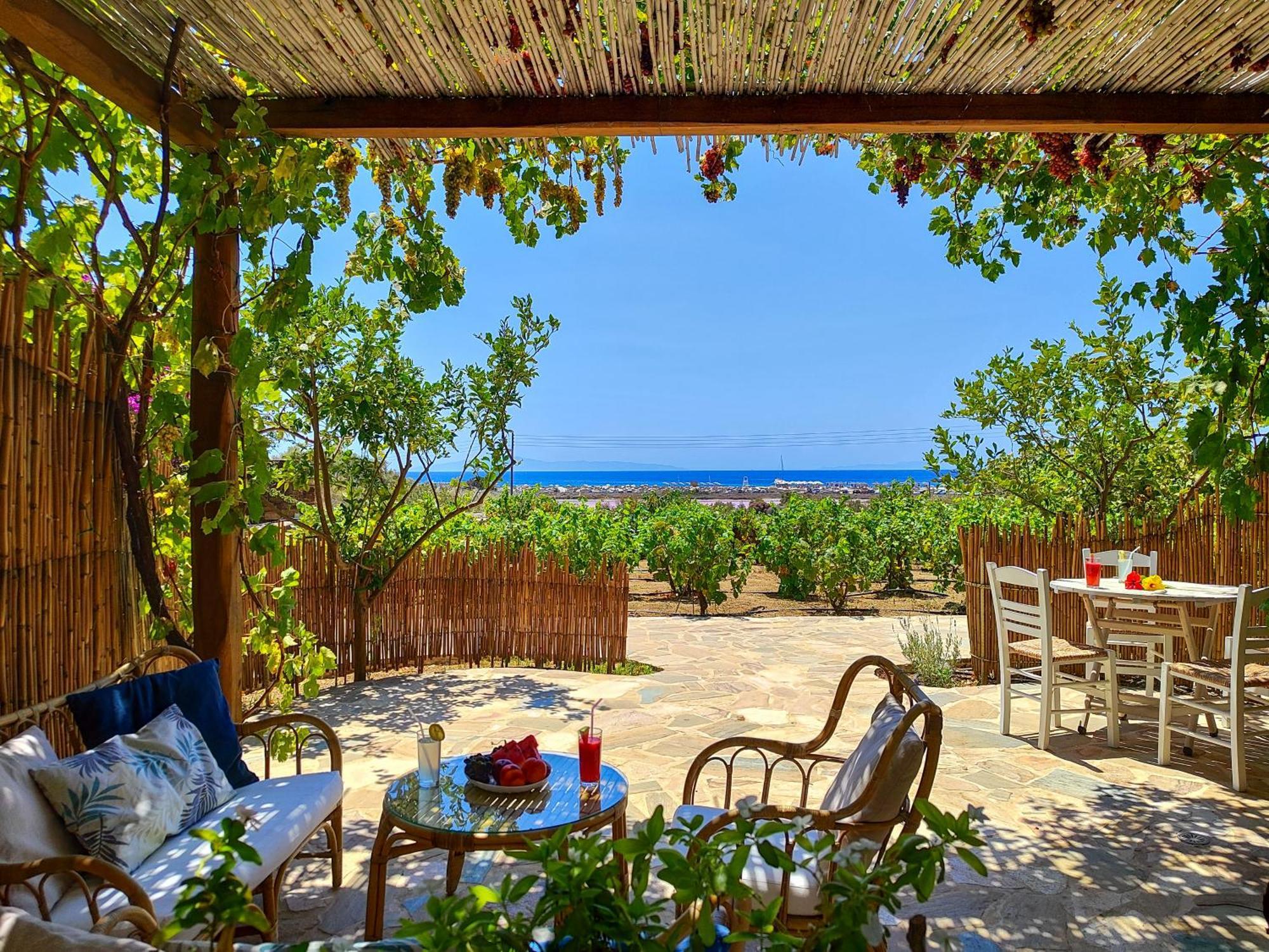 Kyma Apartments - Naxos Agios Prokopios Ngoại thất bức ảnh